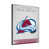 Colorado Avalanche