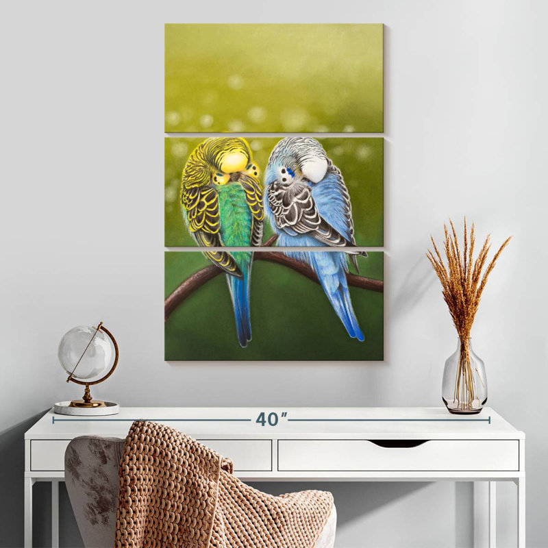 Brampt Budgie Siesta, H 32 po x l 20 po