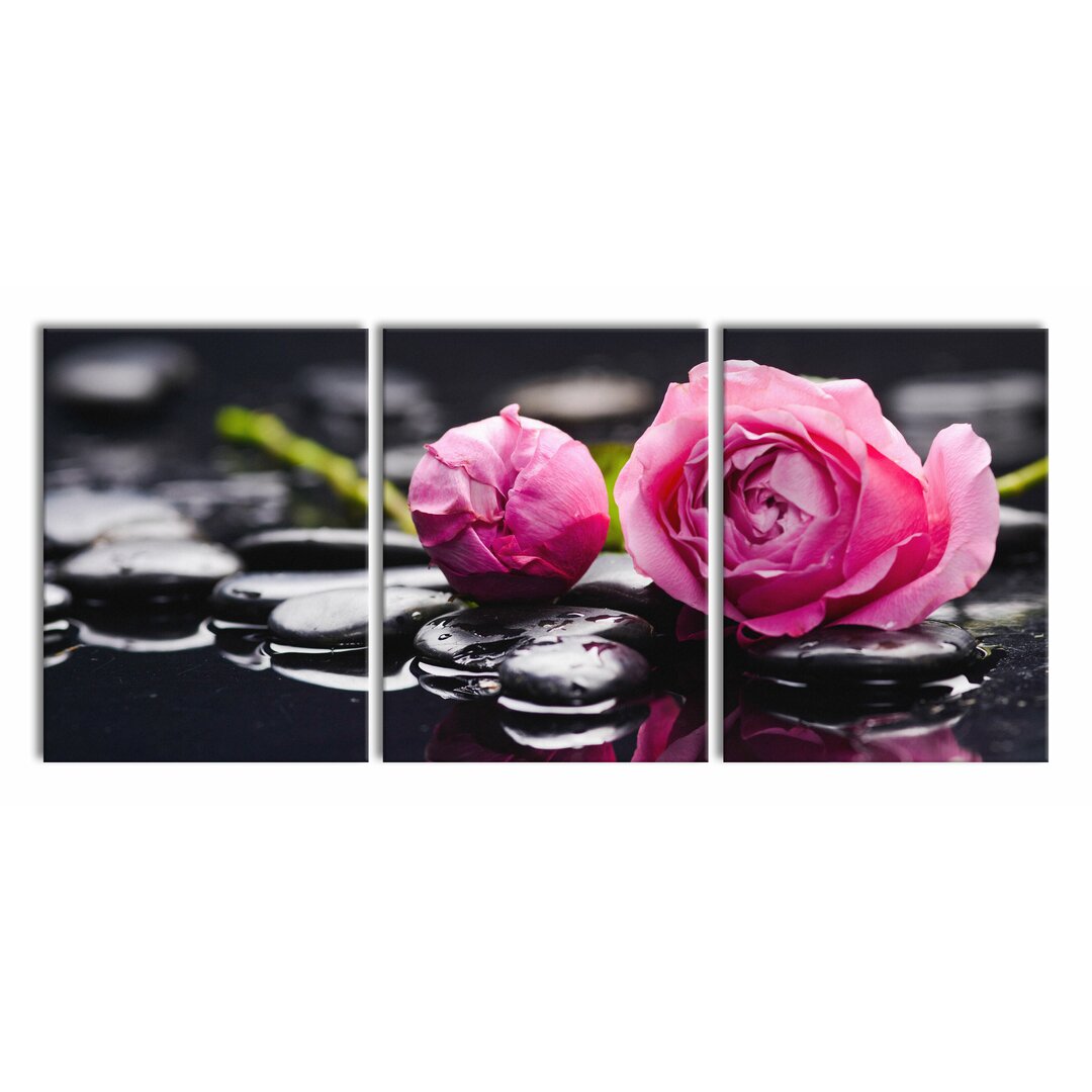 3-tlg. Leinwandbilder-Set Pink Rose Blossoms with Background