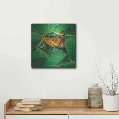 «Grasshopper» par Durwood Coffey, art mural en métal, 24 po x 24 po