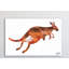 Abc Kangaroo - Painting on Canvas-1318182269