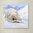 Armand 'Bearcub Square' Print on Canvas-21651354