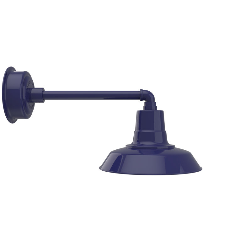 Luminaire de grange d'extérieur à DEL Haleigh, Bleu de cobalt, H 10,03 po x l 12 po x P 22,5 po