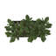 Bedfo 6,95 po plante succulente en pot en céramique