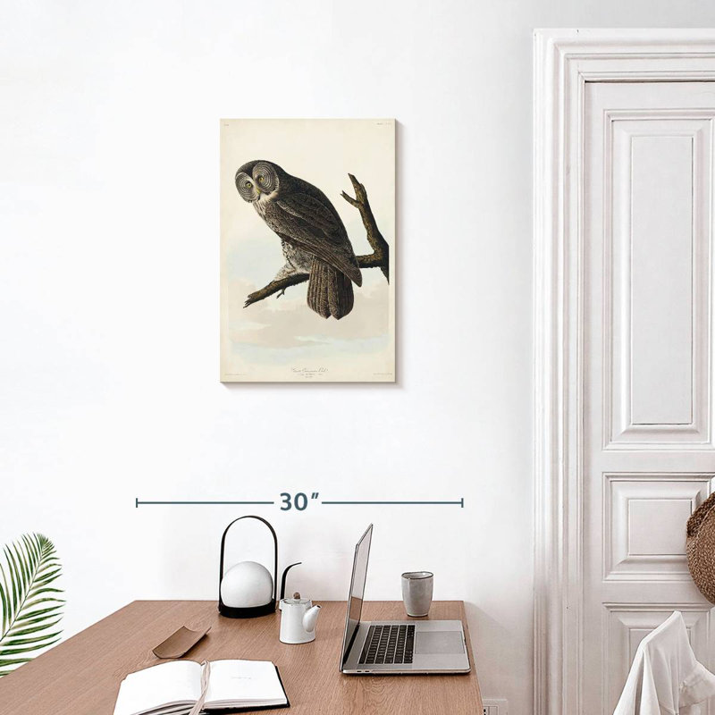 Brampt Great Cinereous Owl, 24" H x 16" W