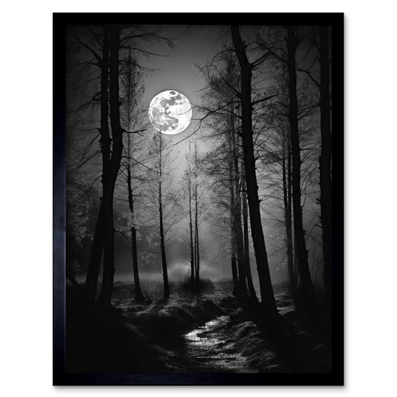 Shellsburg Full Moon Over Misty Forest Black And White Photo - Single Picture Frame Print
