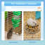 Hamster Cage