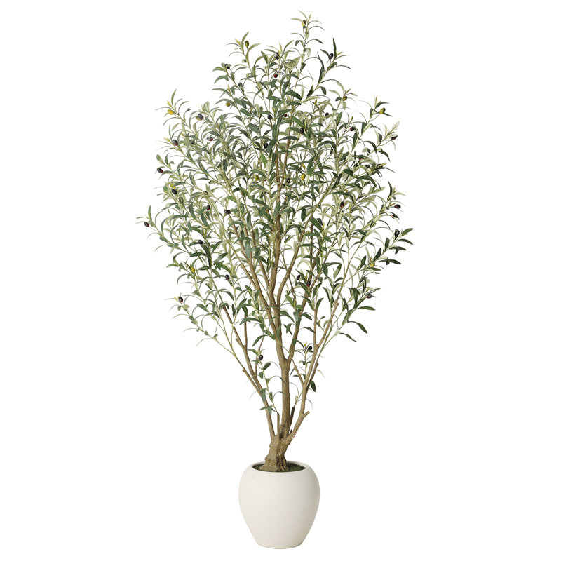 5/6/7/8/9ft Grand Artificial Olive Tree in White Planter - Large Faux Multi-Trunk Floor Plant for High Ceilings - Minimalist & Modern