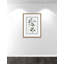 Colombe Shabby Elegance Botanical II - Art encadré-72514465-72514459