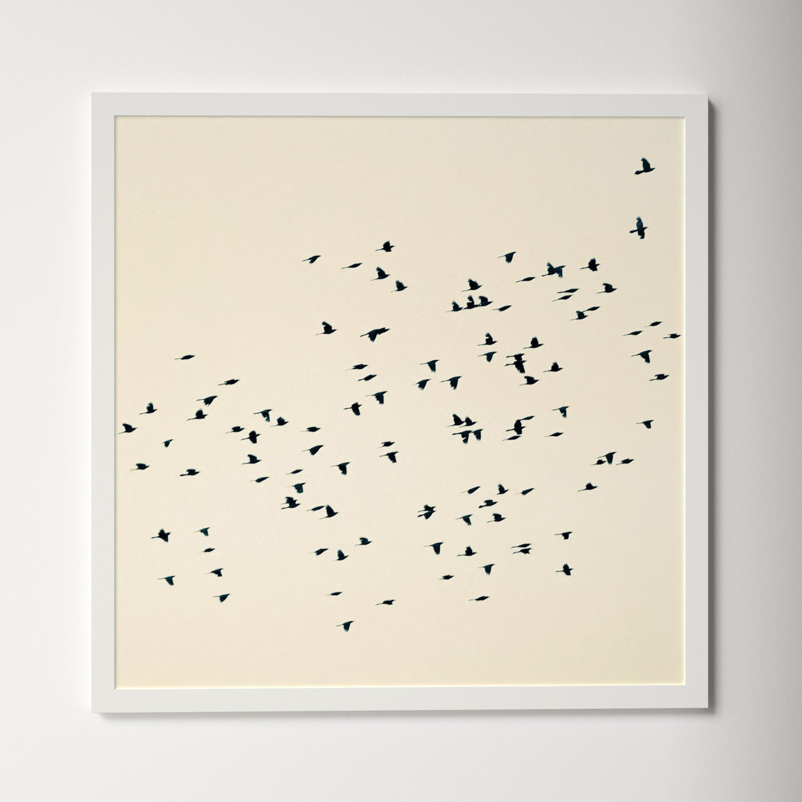 Soaring by Peter Dušek, White, 36" H x 36" W x 1.25" D