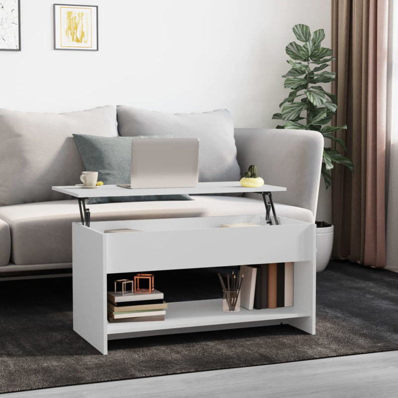 Jarosłav Frame Coffee Table with Storage, White