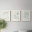 Verdure Ferns VII - ensemble de 3 peintures sur toile encadrées-1899046582-1899046541