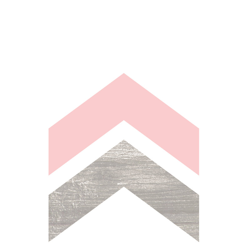 Arrow Copper Pink - Wrapped Canvas Print, 46cm H x 30cm W x 3.8cm D
