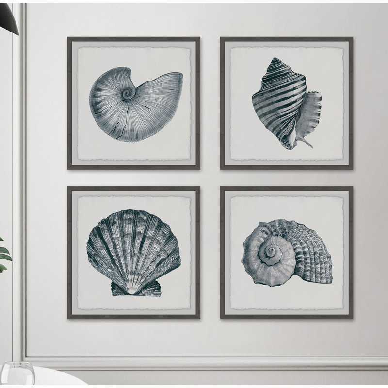 Coquillages gris - ensemble de 4 reproductions de photos, H 18 po x l 18 po x P 1,5 po
