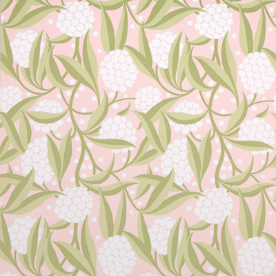Rubus Wallpaper