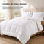 Édredon toutes saisons en duvet synthétique à densité de tissage 300 fils Continental Bedding-94009080