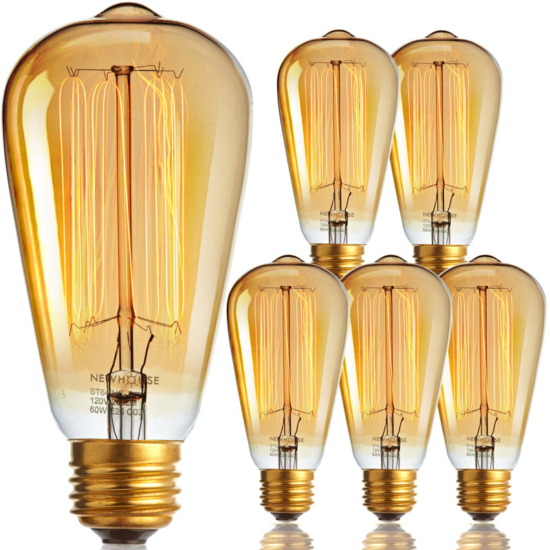 60W Clear Glass Vintage Edison Incandescent Bulb 6-Pack