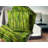 Landscape Throw Pillow-1155446791-1155446788
