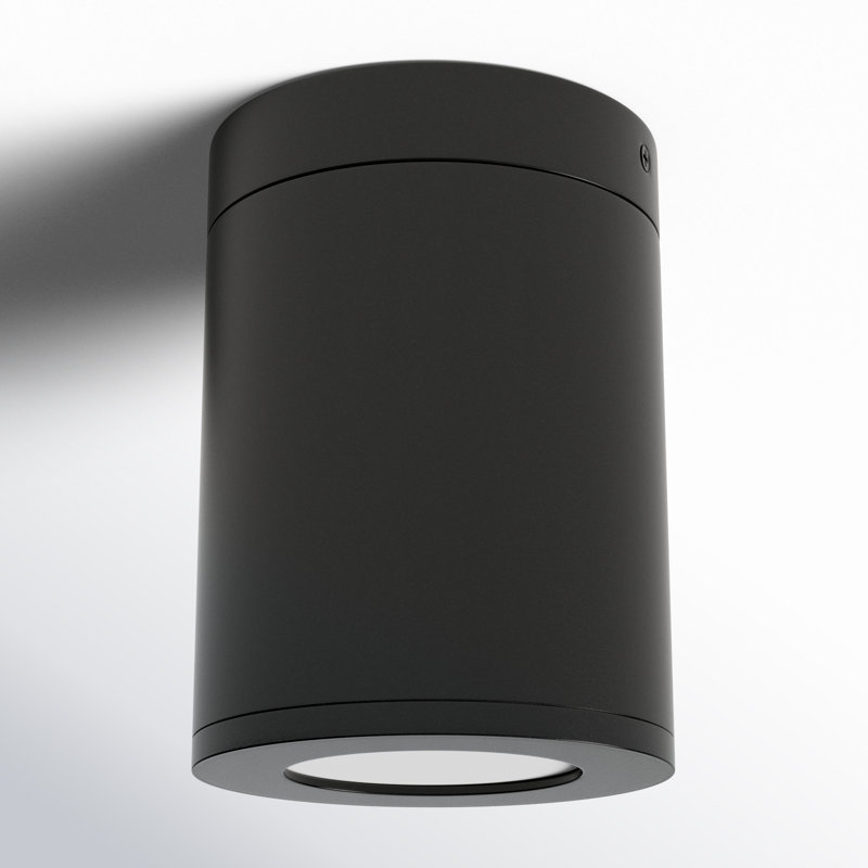 Brissia 1 - Bulb Outdoor Flush Mount, Black