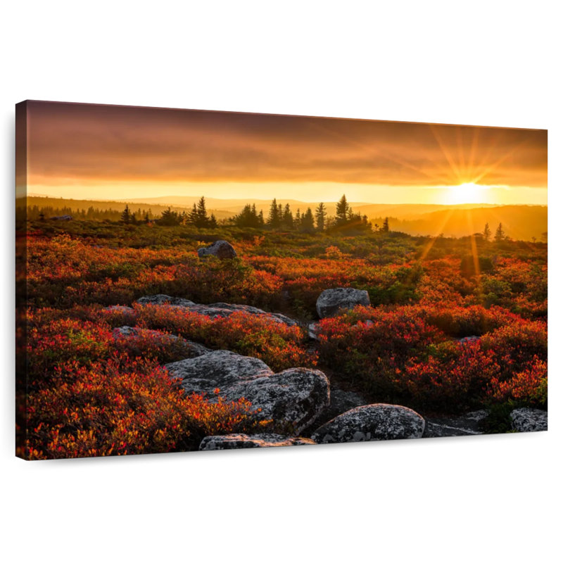 Alvord Dolly Sods Sunset, H 30 po x l 45 po