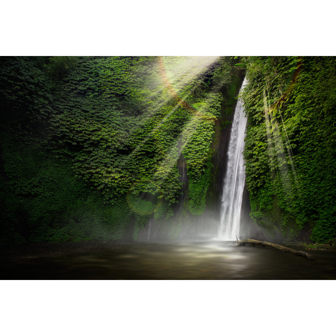 Leinwandbild Wasserfall im Tropenwald (Munduk, Bali, Indonesien)