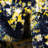Brandt Oriental Indoor Rug-292778373
