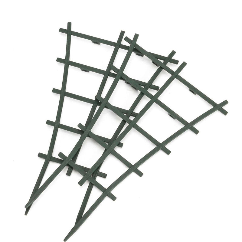 Paquet de 6 plantes Paapanen pour plantes en pot