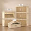 Armoire de rangement 19,69 po