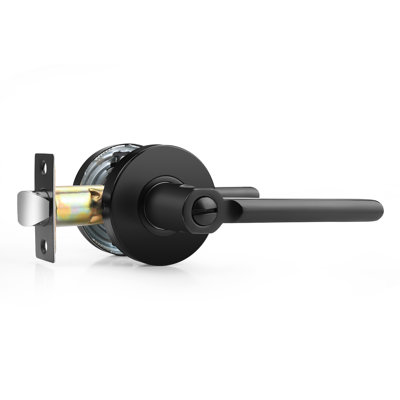 Door Lever