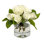 ROSE IN VASE