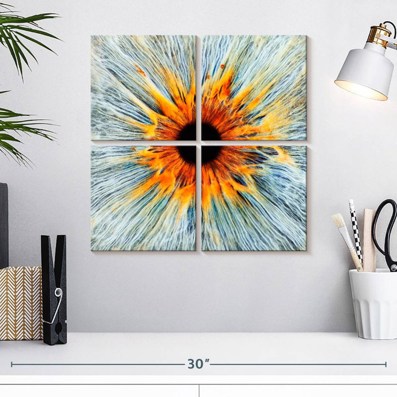 Alcaraz Magnificent Human Eye, 18" H x 18" W