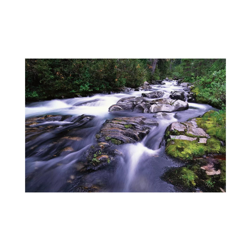 Paradise River, Mt Rainier National Park, Washington by Tim Fitzharris - Wrapped Canvas Gallery-Wrapped Canvas Giclée