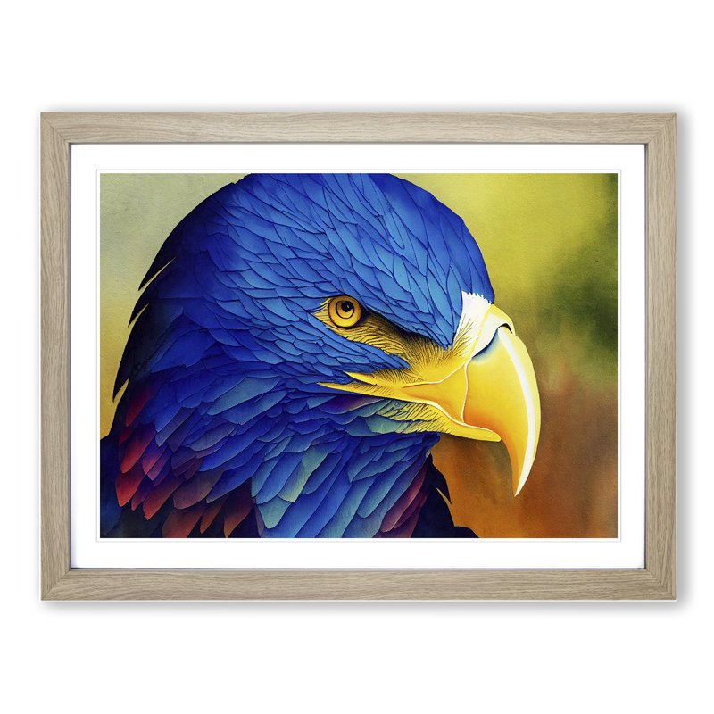 Eagle Bird Watercolour Vol.8 - Single Picture Frame Print, 46cm H x 64cm W x 2cm D, Oak Frame