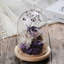 Petrolia Cloche Or Water Globe-687655675