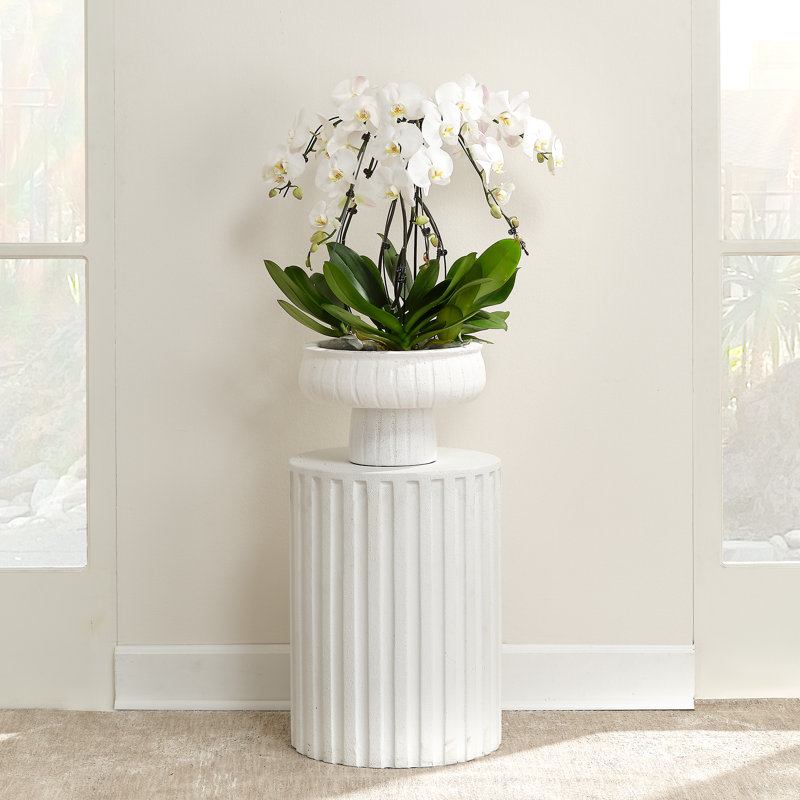 Coastal White Cement Drum-Shaped Fluted Side Table