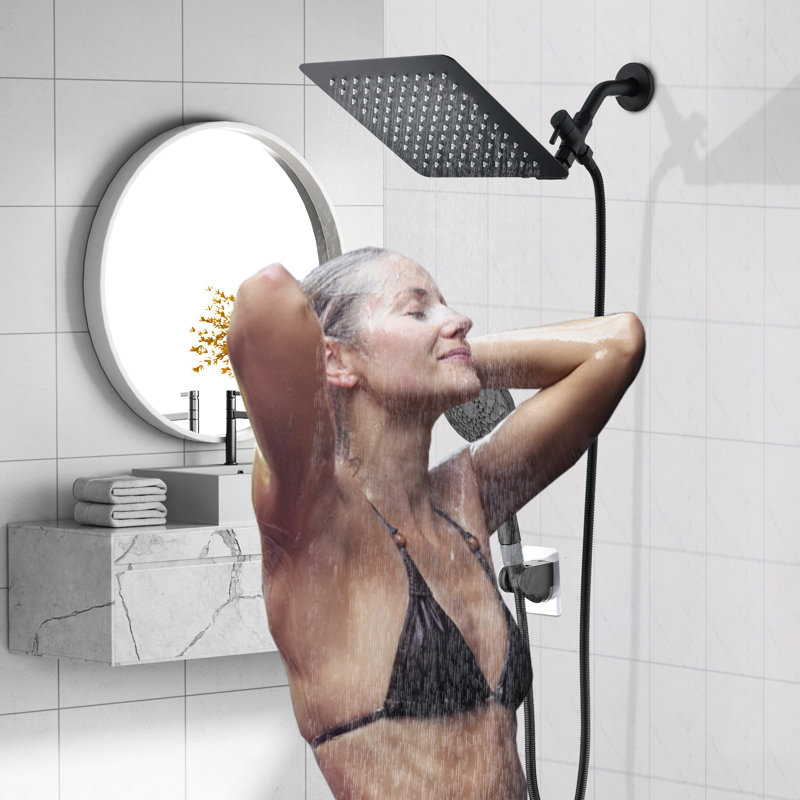 Handheld Shower Head 2.5 GPM GPM, Black