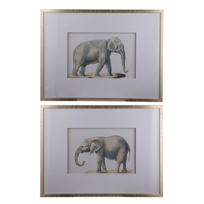 23.6X31.5" Fake Elephant Pencil Drawings, Set Of 2