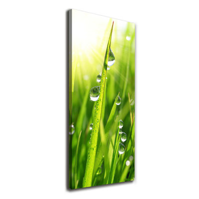Blades Of Grass - Wrapped Canvas Print