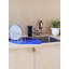 Saga Planter-1758061524