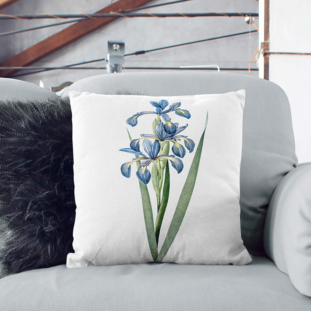 Blue Iris Flowers By Pierre-Joseph Redoute