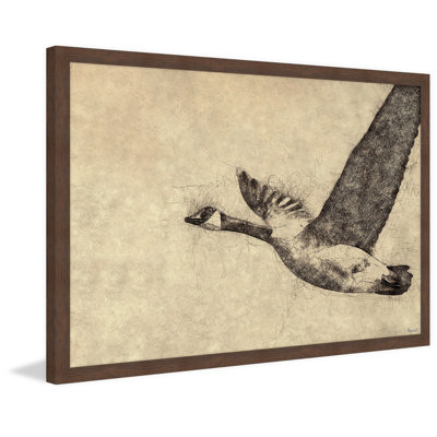 Solo Flight - Single Picture Frame Print
