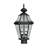 2 Light Outdoor Post Lantern Pendant with Clear Glass Shade-101230844
