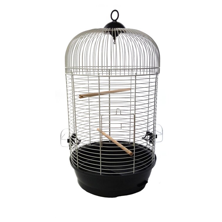 Archie & Oscar Gothenburg 63cm Dome Top Hanging Bird Cage with Perch