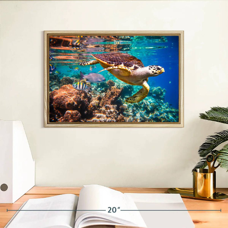Vie marine vive, Cadre flottant en bois naturel, 13 po x 9 po