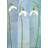Three Snowdrops-121038629