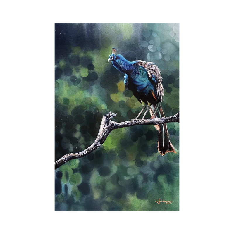 Perched Peacock by Liam Kumawat - Wrapped Canvas Print, 20.32 cm H x 30.48 cm W