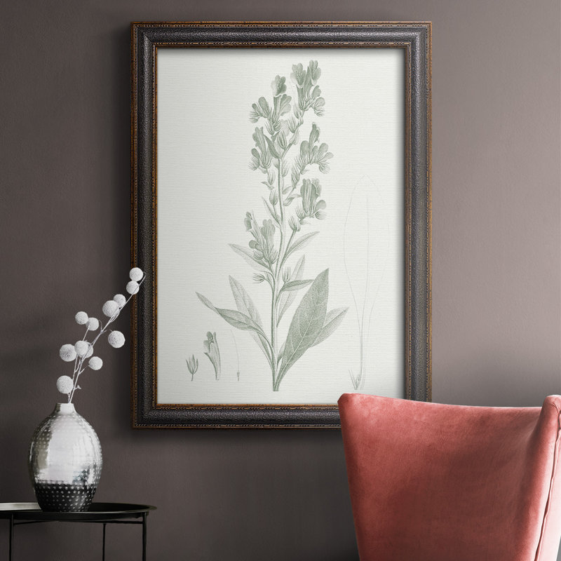 «Botanical Study in Sage III», reproduction d'art sur toile, H 20 po x l 16 po x P 2,5 po
