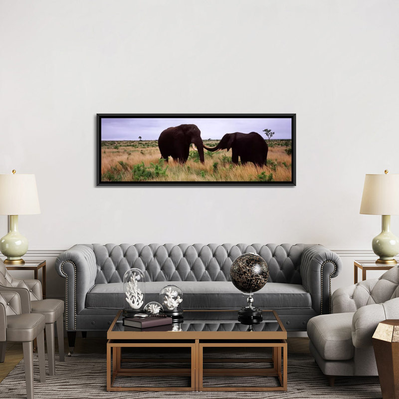 «Panoramic Two African Elephants», Parc national Kruger, Afrique du Sud, reproduction de photo sur toile tendue, Toile tendue