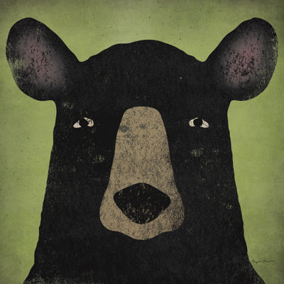 L'ours noir