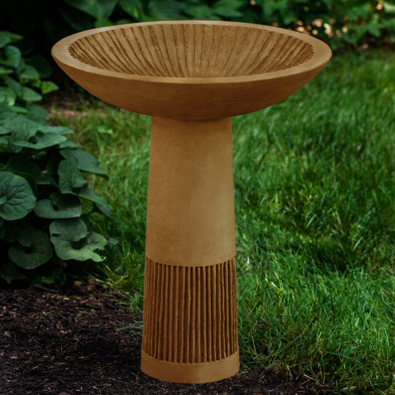 Bain d’oiseaux Equinox, Terra Nera